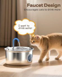 Stainless Steel Cat Water Fountain 💧🐱+ 12 Filters, 12 Sponges & 2 Brushes